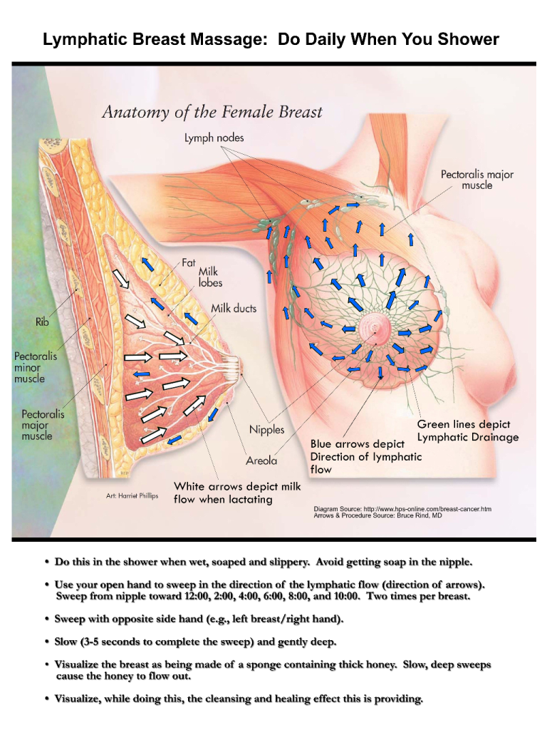 Diagrams Self Breast Massage Implants 7